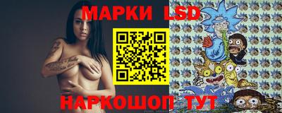 apvp Кингисепп
