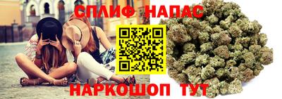 apvp Кингисепп