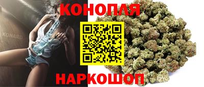apvp Кингисепп