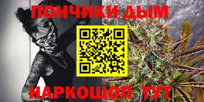 apvp Кингисепп