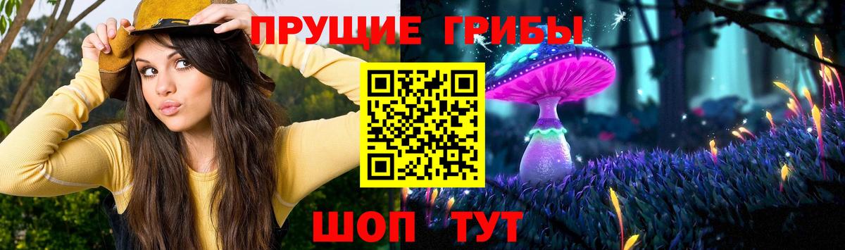 Псилоцибиновые грибы ЛСД  Вход с VPN  Кудымкар 